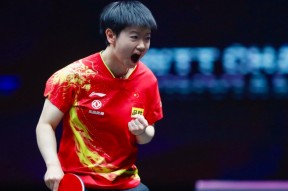 手机看体育-包含东北运动员接连胜利，领跑排行榜的词条